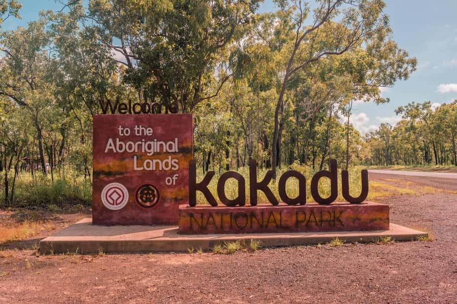 Darwin: Kakadu National Park & Wildlife Full Day Tour - Fogg Dam: wetlands, birds, and a chance of crocodiles