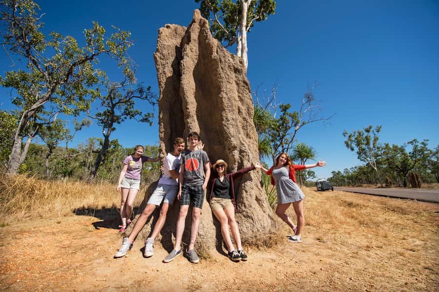 Darwin: Litchfield National Park Waterfalls & Wildlife Tour - Why this Darwin day trip works