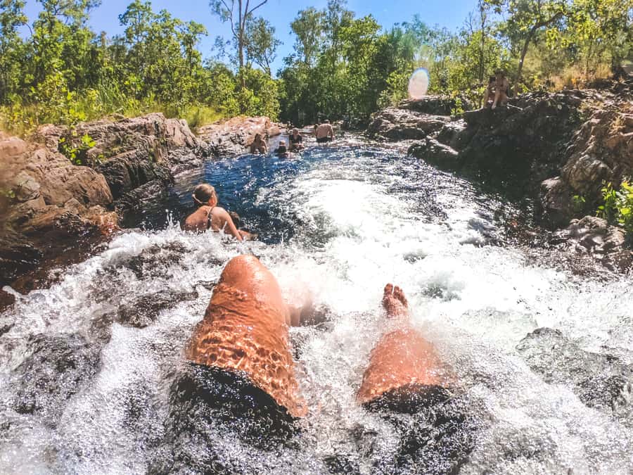 Darwin: Litchfield National Park Waterfalls & Wildlife Tour - What the $113 price really covers