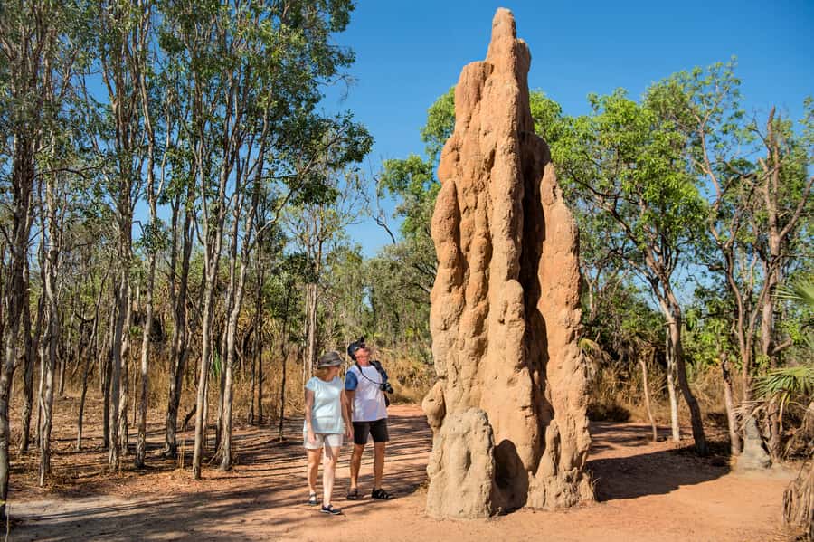 Darwin: Litchfield National Park Waterfalls & Wildlife Tour - Darwin River Tavern makes the return easier
