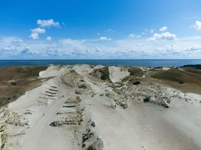 Day group tour: Curonian Spit (Neringa) from Klaipeda (EN) - The cormorant colony near Juodkrantė