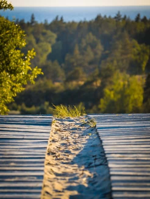 Day group tour: Curonian Spit (Neringa) from Klaipeda (EN) - Walking the Dead Dunes
