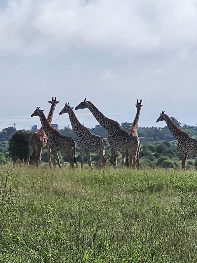 Day tour Hells gate and lake Naivasha from Nairobi - Guides can make the practical side easier