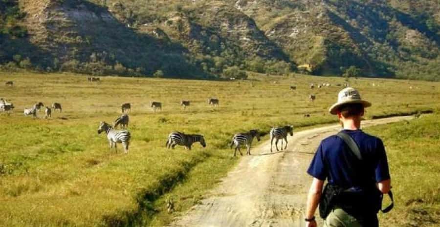 Day tour Hells gate and lake Naivasha from Nairobi - Who will enjoy this tour most