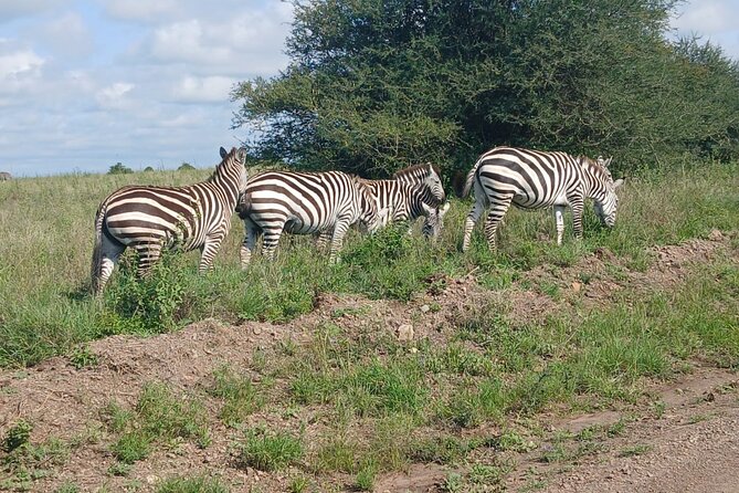 Day Tour To Amboseli National Park From Nairobi - What the $160 price really covers