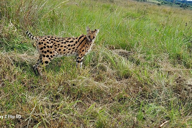 Day Tour To Amboseli National Park From Nairobi - The long day and who will enjoy it most