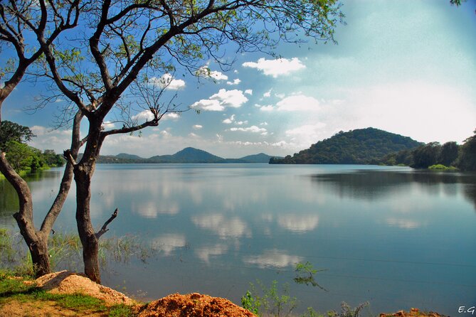 Day tour to Minneriya National Park,Sigiriya & Dambulla from Kandy - Sigiriya Rock: the day’s main physical challenge