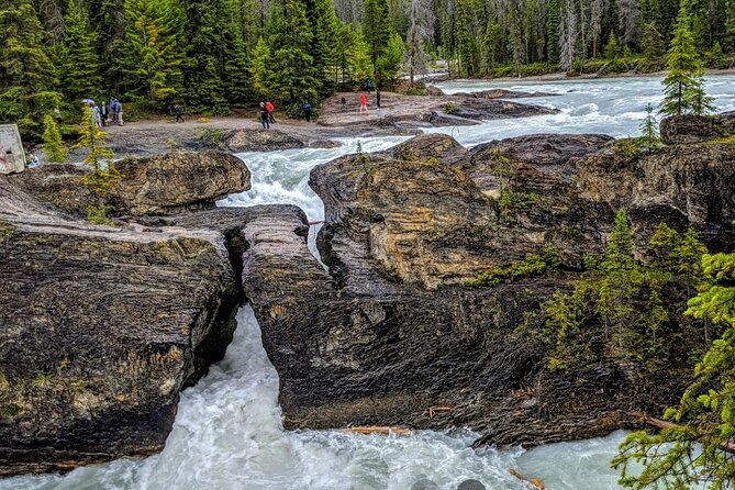 Day Trip: Lake Louise, Moraine Lake, Emerald Lake, Banff - Emerald Lake in Its Quietest Setting