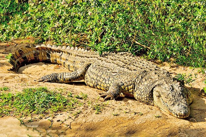 Day Trip Safari - Akagera National Park with Optional Lake Ihema Boat Safari - Adding the one-hour Lake Ihema boat safari