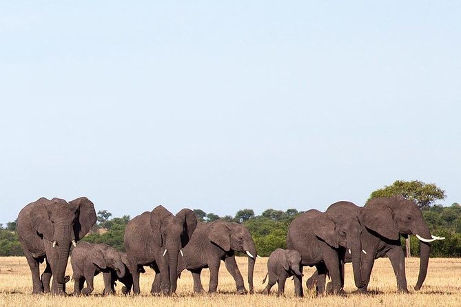 day trip tarangire - Binoculars make smaller sightings count