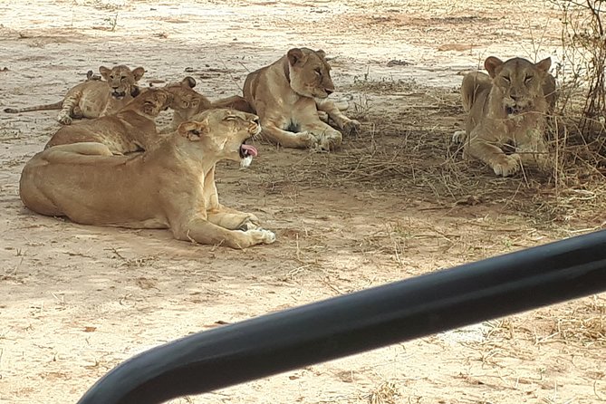 day trip tarangire - A small group changes the feel of the game drive