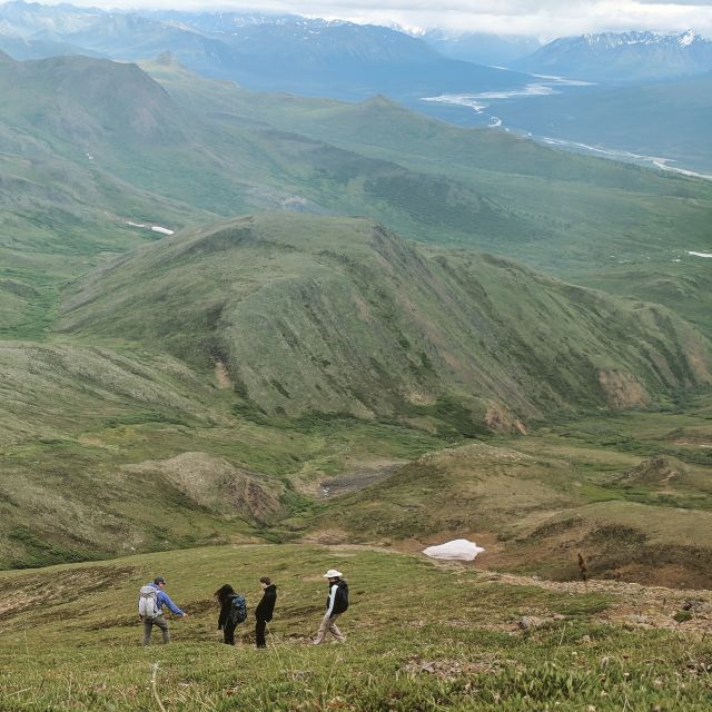 Denali: 5-Hour Guided Wilderness Hiking Tour - Key points at a glance