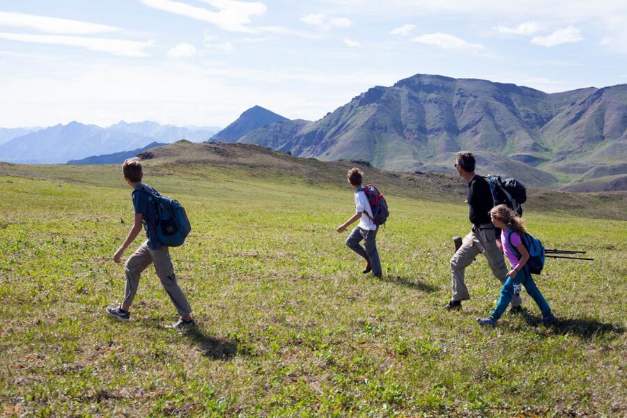 Denali: 5-Hour Guided Wilderness Hiking Tour - Naturalist commentary that earns its place