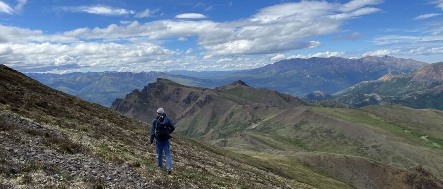 Denali: Denali National Park Walking Tour - A Three-Hour Walk at Denali’s Human Pace