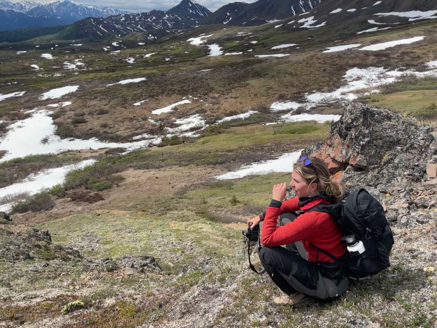 Denali: Denali National Park Walking Tour - A Small Group With Room for Questions