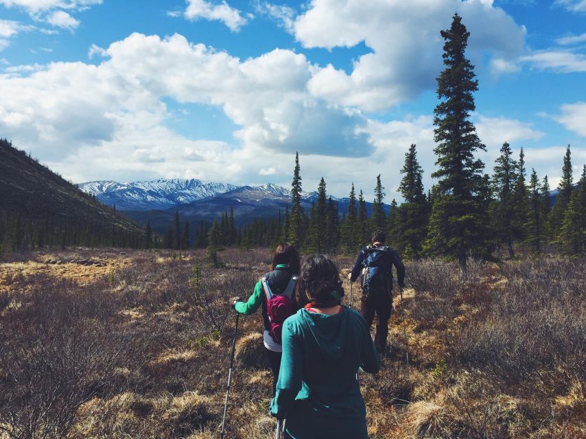 Denali: Denali National Park Walking Tour - Is the $128 Price Fair?