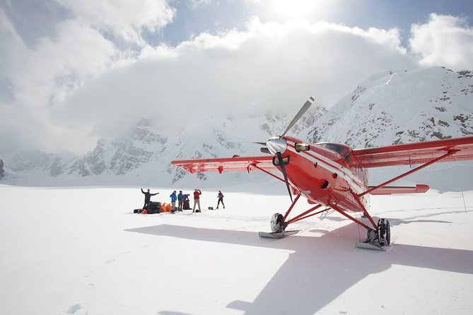 Denali Flyer Flightseeing Tour from Talkeetna - The Kahiltna and Ruth Glaciers from Above