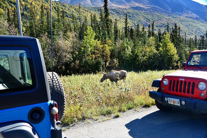 Denali Highway Jeep Excursion - Snacks, drinks, and the value of $220