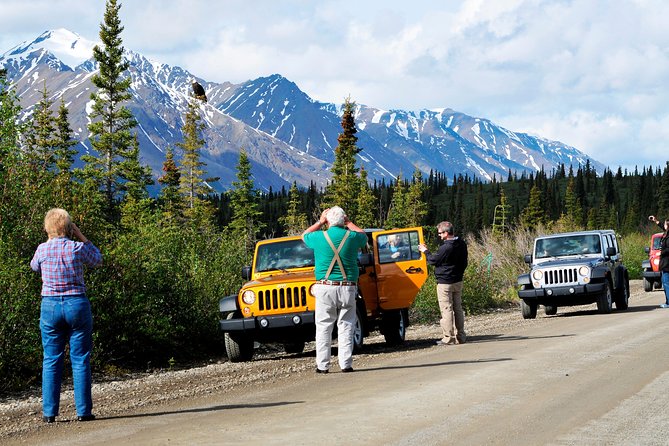 Denali Highway Jeep Excursion - Who should book this Denali excursion
