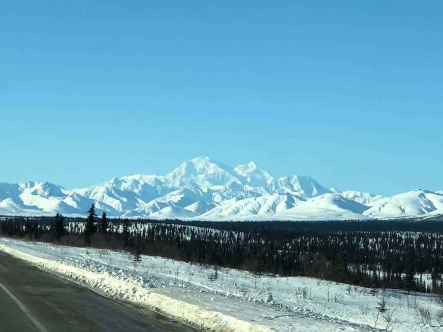 Denali National Park: Full-Day Fairbanks-Denali Adventure - The return to Fairbanks makes this a very long day