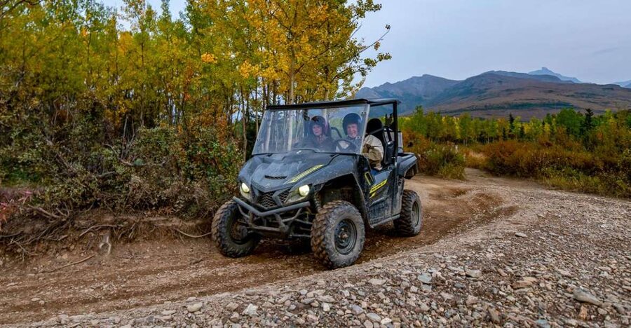 Denali National Park: Wilderness ATV Adventure - Key points to know before you book