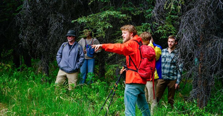 Denali: Naturalist Walking Tour in Denali National Park - Why a forest walk can explain Denali better than a quick photo stop