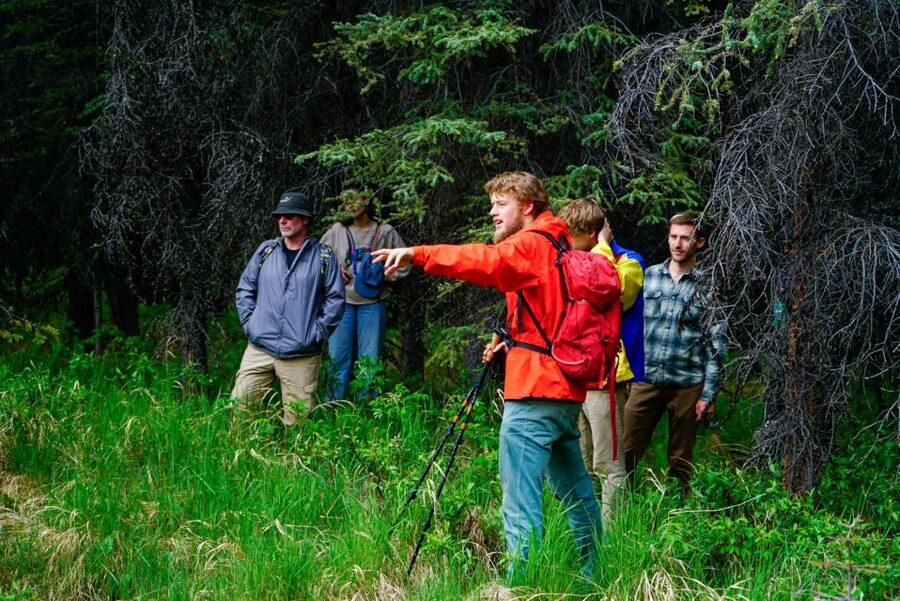 Denali: Naturalist Walking Tour in Denali National Park - The 15-minute van ride from your Denali hotel