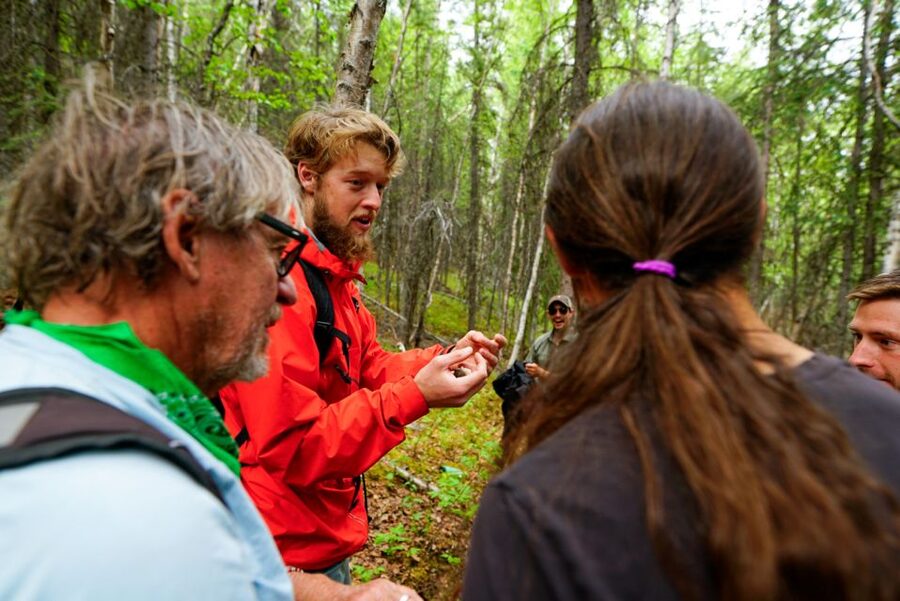 Denali: Naturalist Walking Tour in Denali National Park - Timing, weather, and what to bring