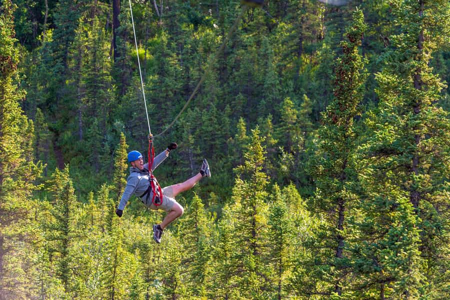 Denali Park Zipline Adventure - Booking flexibility and group size