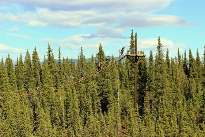 Denali Park Zipline Adventure - The Denali zipline experience in plain terms