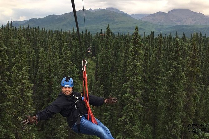 Denali Park Zipline Adventure - Six bridges make this a real obstacle course