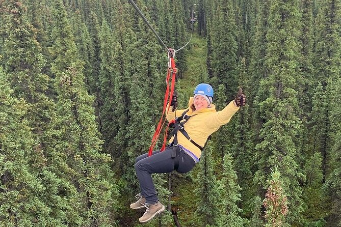 Denali Park Zipline Adventure - What the $208.99 price buys you