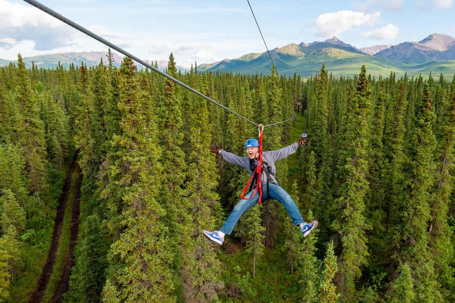 Denali Park Zipline Adventure - Is $208 a fair price?