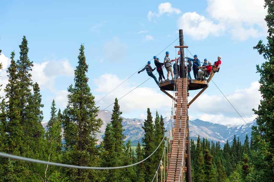 Denali Park Zipline Adventure - Who should book this Denali activity?