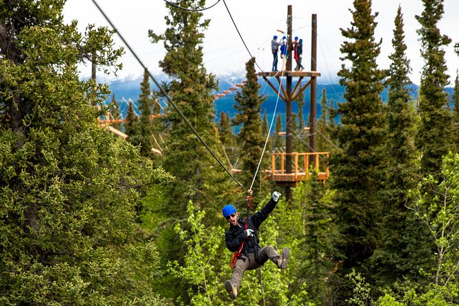 Denali Park Zipline Adventure - Six bridges leading into the boreal forest