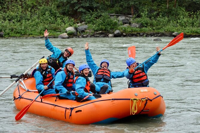 Denali Rafting Wilderness Wave - The river ride, rapids, and mountain views