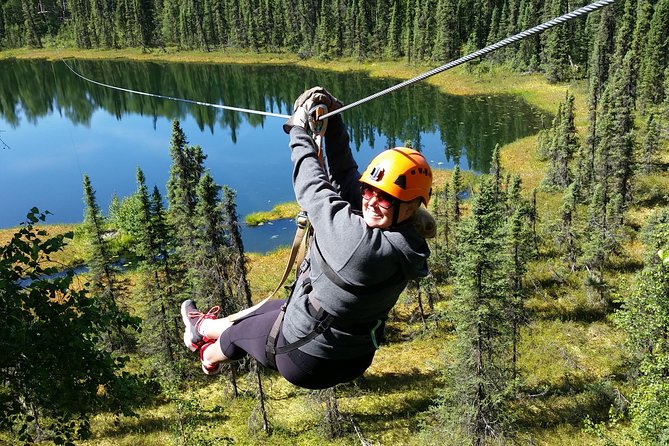 Denali Zipline Tour in Talkeetna, AK - A Forest Flight Above Talkeetna
