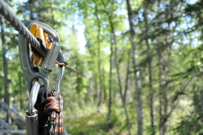 Denali Zipline Tour in Talkeetna, AK - Safety Without Taking the Fun Out