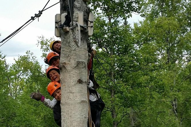 Denali Zipline Tour in Talkeetna, AK - Denali Views Depend on the Day