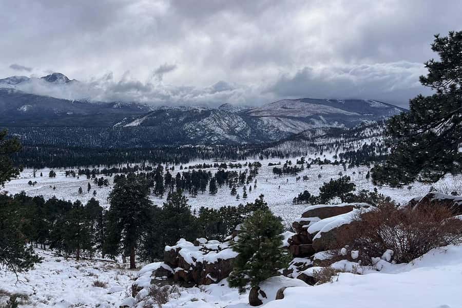 Denver/Boulder: Rocky Mountain National Park Tour - From Denver or Boulder into mountain country