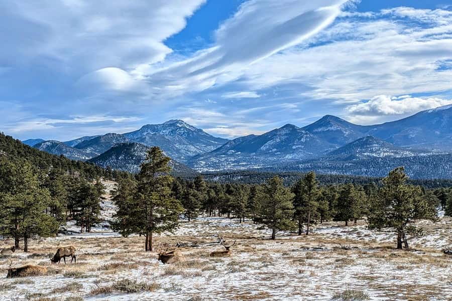 Denver/Boulder: Rocky Mountain National Park Tour - What the scenic drive gives you