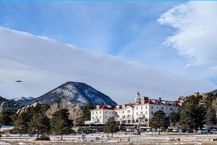 Denver/Boulder: Rocky Mountain National Park Tour - Wildlife watching without a long hike