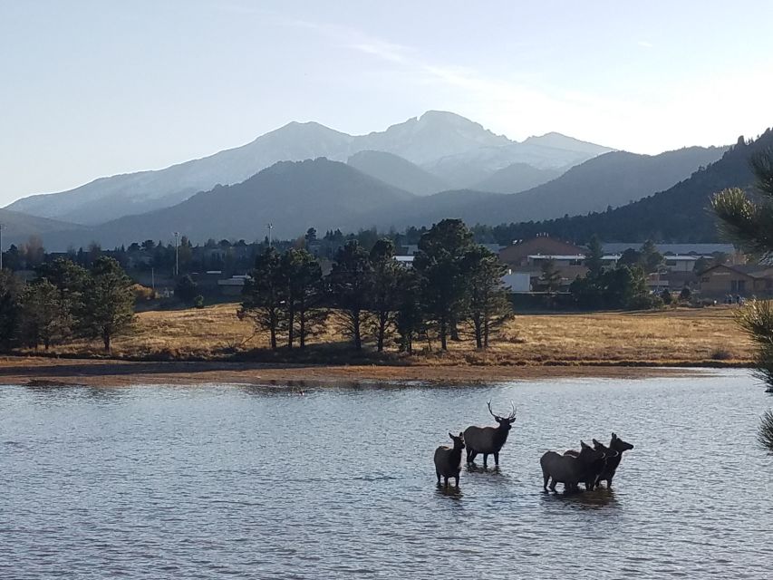 Denver: Rocky Mountain National Park Tour with Picnic Lunch - Many Parks Curve delivers the first big view