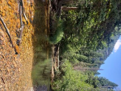 Rocky Mountain National Park Tour with Picnic Lunch