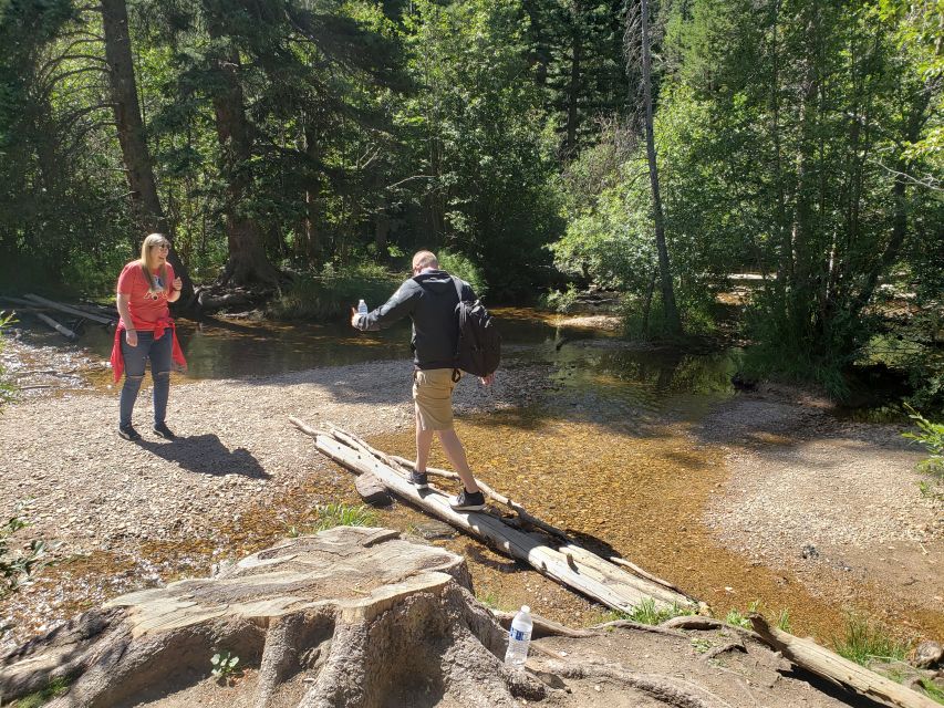 Denver: Rocky Mountain National Park Tour with Picnic Lunch - Wildlife watching without a safari promise