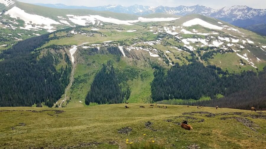 Denver: Rocky Mountain National Park Tour with Picnic Lunch - The Stanley Hotel and a short Estes Park visit