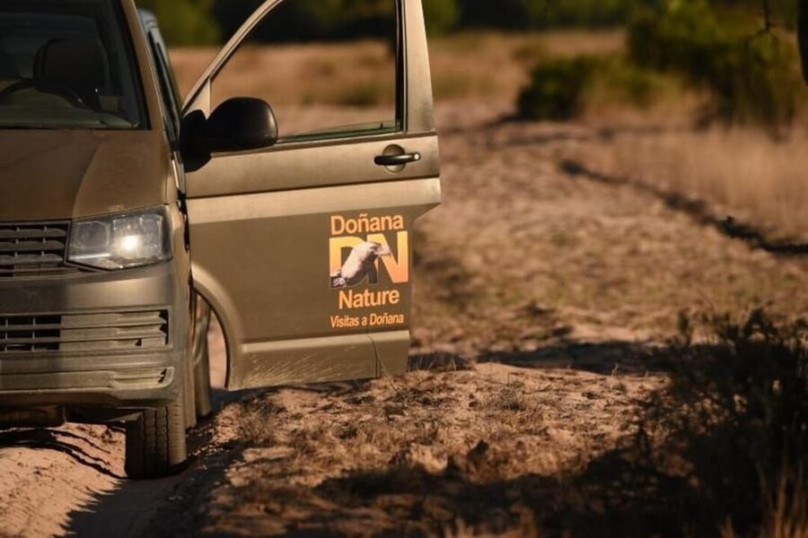 Discover Doñana & Iberian Lynx: Premium Nature Tour - The 4x4 ride: useful access, limited comfort