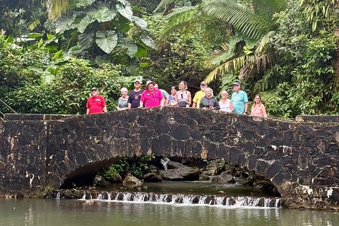 Discover El Yunque National Park: Half-Day Rainforest Tour - Yokahú Tower supplies the wide view