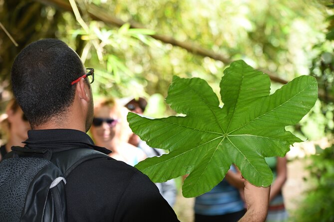 Discover El Yunque National Park: Half-Day Rainforest Tour - What the $115 price covers