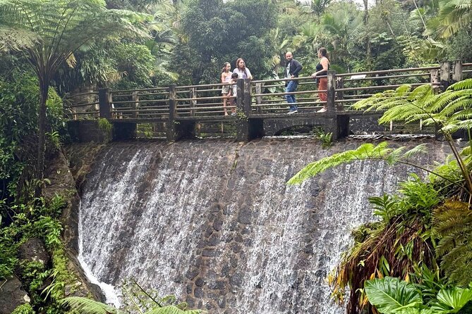 Discover El Yunque National Park: Half-Day Rainforest Tour - Practical details that affect your decision